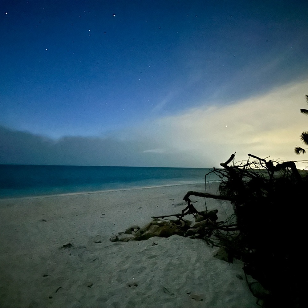 Meet your Posher, Kaylee